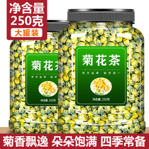 Super-grade chrysanthemum chrysanthemum dry fire heat detoxification fire detoxification detoxification