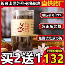 Changbaishan Ganoderma Lucidum spore powder Toudao Ganoderma Lucidum powder Linzhi robe Powder 250g rolled and broken shell easy to absorb