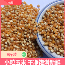 Meitonbao small corn pigeon grain 9kg popcorn round ball mixed grain Pigeon Pigeon Pigeon Pigeon ornamental pigeon feed