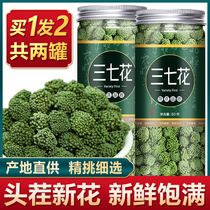 Buy 1 get 1 free Tianqi Flower Four years 2020 New Year Stubble New Flower Yunnan Wenshan Premium Tianqi Flower Tea