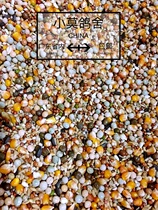 50kg of corn young birds pigeon food flying nutrition feed bird food pigeon ornamental pigeon meat pigeon health care sand