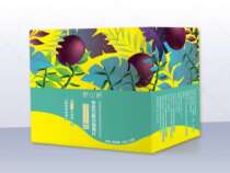 Wild Dendrobium officinale fruit juice healthy green drink 0 plain color 0 flavor fresh extract nutritional drink