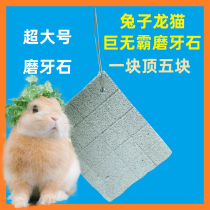 Rabbit Totoro Squirrel Oversized Durable Grinding Stone Pet Calcium Mineral Mill Toys