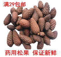  Fresh natural medicinal pinecone pine tower photography shooting photo simulation dried flower props decoration 250g