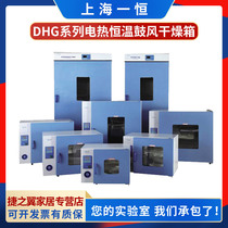 Shanghai Yiheng DHG-9030A 9070 9140 Laboratory electric constant temperature blast oven oven oven