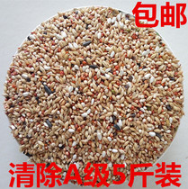 A level to clear pigeons pigeons pigeons pigeons food feed no corn no peas sorghum wheat 5kg