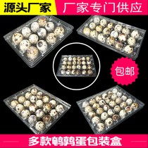 Leaf green transparent quail egg packaging box disposable plastic egg tray 100 spot promotion