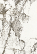 The Italian rice ash is the most