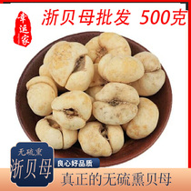 Fritillary Chinese Herbal medicine Zhejiang Fritillary Zhejiang shell Elephant shell Large Fritillary Earth Fritillary 500g Flat fritillary