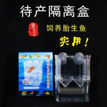 Guppy fish isolation box incubator box high-grade material pregnant female fish isolation box Fry incubator box