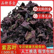 Perilla leaves Perilla dried perilla to fishy fish shrimp and crab spices Chinese medicinal materials a catty of grinding perilla leaf powder