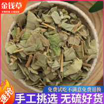 Golden Money Grass Dry Chinese Herbal Medicine Guangxi Large Leaf Gold Money Grass 500g Wild Natural Wide Gold Money Grass Can Be Hitchhiking Corn