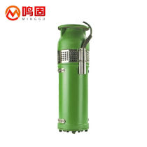 Minggu pool fountain water pump landscape pool fountain pump QSP type fountain pump residential garden fountain pump cast iron Q