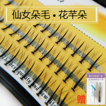 Rice straw man Andromeda wool flowy sandwich mesh red central plus coarse graft eyelash single cluster natural dense