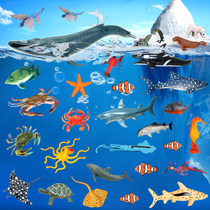 Simulation of marine animal model seabed biological world childrens toy lobster crab octopus shark sea turtle