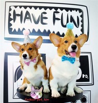 Pet birthday Party fur cap cat and dog Party sparkling bow tie for adults and children to wear
