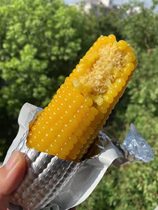 Northeast Heilongjiang green organic Hazel pure sweet waxy new corn cob nutrition delicious healthy whole grains sweet sticky