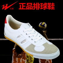 Qingdao Double Star volleyball shoes men and women Classic nostalgic sneakers breathable wear-resistant beef tendon work shoes labor protection shoes