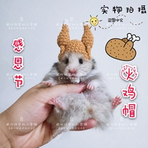  (Wafer House)Turkey hat Chicken leg hat Hamster Golden bear small hat Pet photo squirrel hat