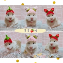 (Wage cake House) Strawberry hat Golden Bear Little Hat Hamster Hedgehog Flower Branch Mouse Chinatown Pet Little Pet Headwear