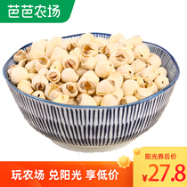 Jiajue Meng dry goods to the core 250g lotus seeds slightly core Jianning handmade white lotus non-dermabrasion edible bulk