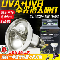 Tortoise Sunback lamp heat preservation uva uvb full spectrum sun lamp lizard tortoise heating reptile insect calcium bulb