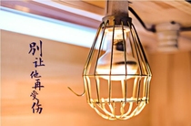 Reptile wooden box uva heating lamp holder anti-scalding net protective cover land turtle box climbing pet heat preservation lamp uvb snake lizard small pet