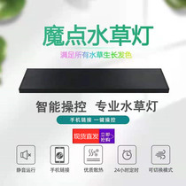 Magic point RGBB series aquatic lamp full spectrum LED fish tank lighting grass tank landscaping lamp WRGB waterproof landscaping lamp