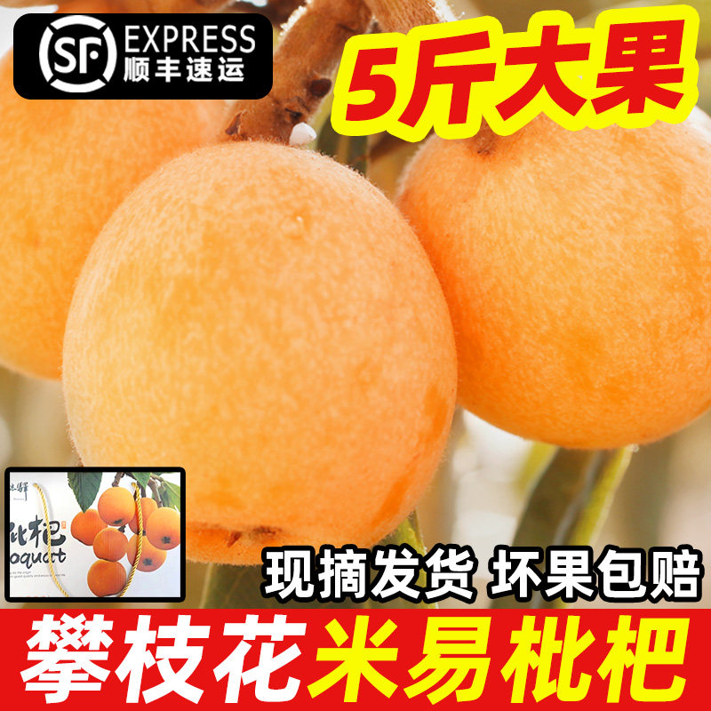 米易大五星枇杷5斤-米易大五星枇杷5斤促销价格、米易大五星枇杷5斤品牌