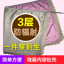 Invisible inside wearing anti-radiation clothing Pregnancy Woman Dress Belly Skirt Dress Woman Clothes Gestation Office Computer Office