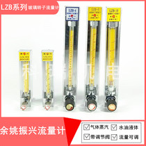 Yuyao Zhenxing LZB-10WB Glass Rotor Flowmeter Gas Liquid Water Flow Meter Air Flowmeter