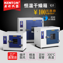 Kangheng electric heating constant temperature blast drying oven can be customized industrial oven experimental drying oven headlight oven 101