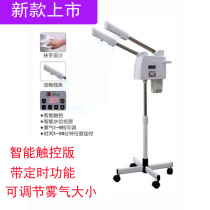 Face steamer Beauty salon Nano hot and cold double spray hydration instrument Beauty instrument sprayer Steam engine cold spray instrument thermal spray