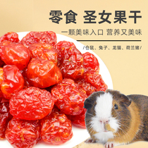 Little pet cherry tomato supplement rabbit Chinchow pig bear hamster nutrition snack 50g