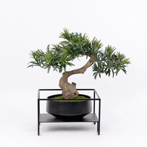 Modern New Chinese style simulation mangosteen green plant bonsai Zen tea room Hotel meeting room jewelry Model room ornaments