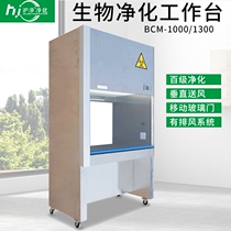Shanghai Hujing BSC-1000A2 biological purification workbench Exhaust system Dust-free all-steel single workbench