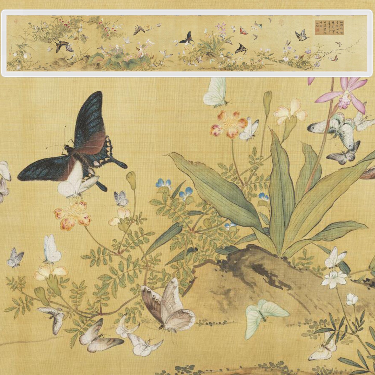 百蝶图装饰画-百蝶图装饰画促销价格、百蝶图装饰画品牌- 淘宝