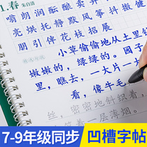Liupitang 7-9th grade calligraphy junior high school students 789-year-class Hengshui body Chinese copybook the first and second volume of middle school students are synchronized with the first and second grades of the middle school students.
