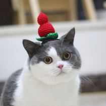 Pet cat gourd baby dress hat into kitten cat cat dog Selling cute beat sound head props funny and cute