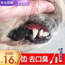Dog toothbrush toothpaste set finger cover golden retriever special cleaning edible Teddy Degas dog pet supplies