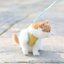 Cat traction rope vest walking cat rope cat rope chest strap out artifact dog Bomei pet supplies