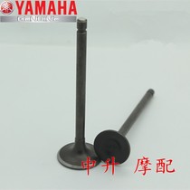 Suitable for Yamaha motorcycle JYM250 Jinlong 250 intake valve exhaust valve valve stem oil seal