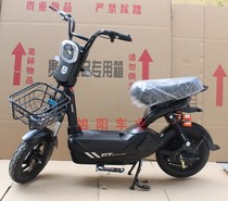 New national standard 48V new electric car electric bicycle small battery car mens and womens two-wheeled scooter can be on the card