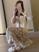 Pure desire this year popular floral long sleeve jumpsuit base skirt sweater vest female two-piece set Spring and Autumn New Interior