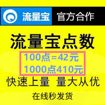 Traffic Treasure points Traffic Treasure points Recharge points Promotion tools
