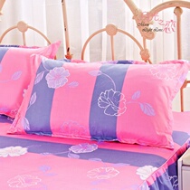 A pair of pillowcases student large adult men and women Net red cartoon children single pillow cover pillow case