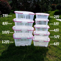 Bayberry picking basket plastic cover 5kg 10kg hand-held packaging blue strawberry egg Cherry water fruit and vegetable basket