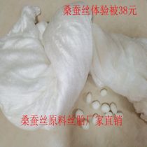 Tung Xiang Pure Handmade 100% Silk Quilt Tussah Silk Naked Silk Tire Spring Autumn Quilt primary and secondary winter quilt with double palace mulberry silk raw material