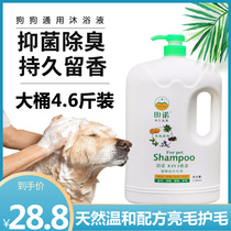 Dog shower gel Sterilization deodorization Mite removal Teddy Golden hair White hair Samoyer special pet shampoo bath tub