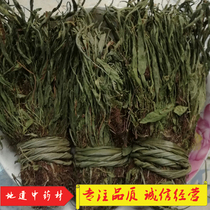 Pedal grass Chinese herbal medicine Pedal grass cross bridge grass return to Yang grass small stone Wei Pedal grass grass grass 250g